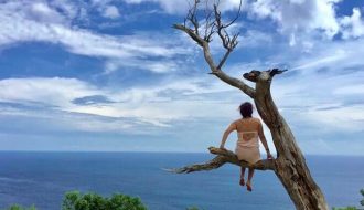 Pohon Cinta Nusa Penida